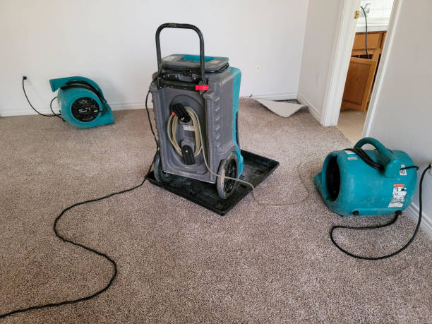 Best Water damage mitigation services  in University Park, TX