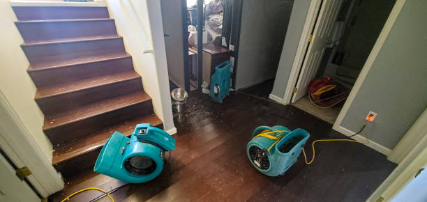 Best Water damage restoration experts  in University Park, TX