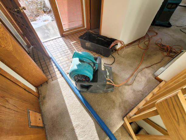 Best 24/7 water damage repair  in University Park, TX