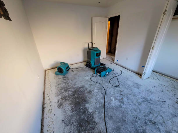 Best Water damage restoration near me  in University Park, TX