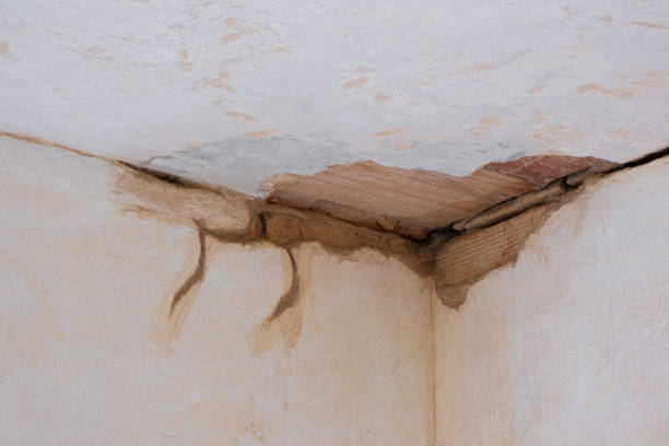 Water damage restoration insurance claims in University Park, TX