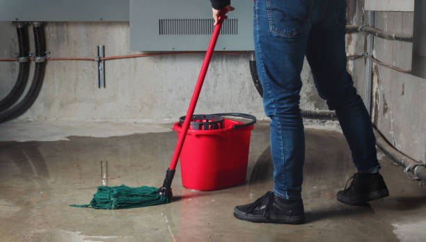 Best 24-hour water damage restoration  in University Park, TX
