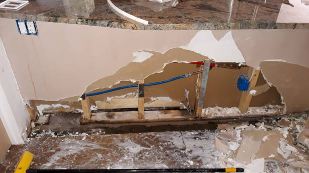 Best Local water damage restoration  in University Park, TX