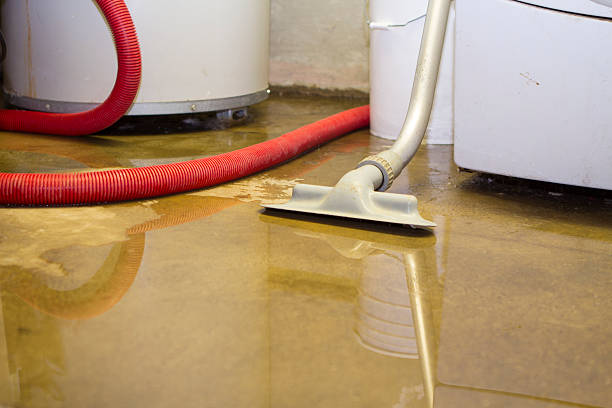 Water damage restoration experts in University Park, TX