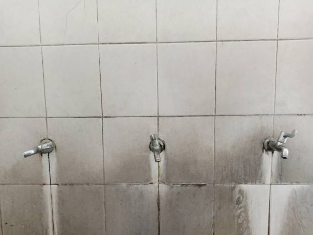 Best Water damage contractors near me  in University Park, TX