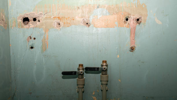 Best Flooded house restoration  in University Park, TX