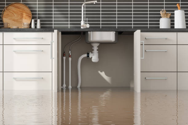 Best Water damage restoration insurance claims  in University Park, TX