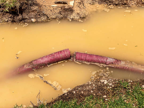 University Park, TX Water damage restoration Company